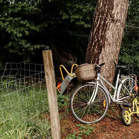 Family House For Design Lovers At Heatherhill Сasa de vacaciones *